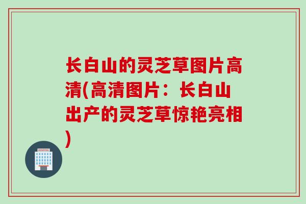 长白山的灵芝草图片高清(高清图片：长白山出产的灵芝草惊艳亮相)