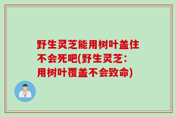 野生灵芝能用树叶盖住不会死吧(野生灵芝：用树叶覆盖不会致命)