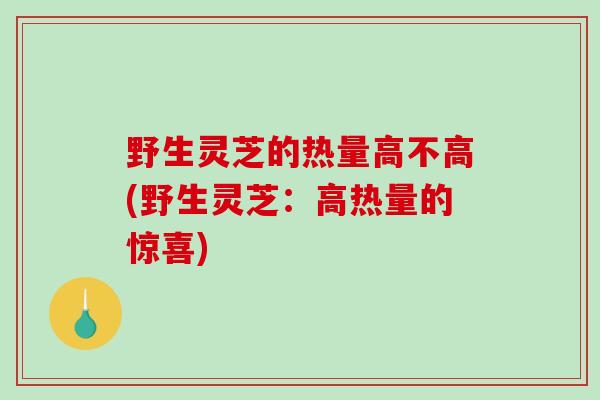 野生灵芝的热量高不高(野生灵芝：高热量的惊喜)