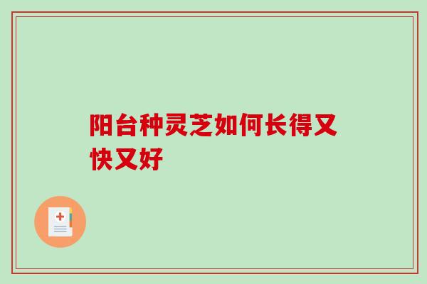 阳台种灵芝如何长得又快又好