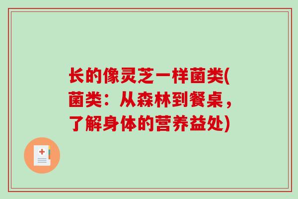 长的像灵芝一样菌类(菌类：从森林到餐桌，了解身体的营养益处)
