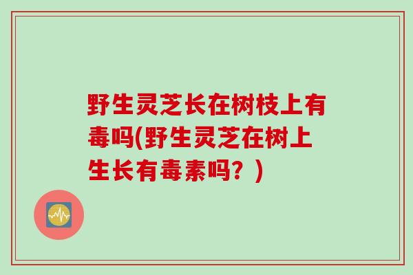 野生灵芝长在树枝上有毒吗(野生灵芝在树上生长有毒素吗？)
