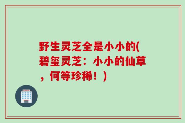 野生灵芝全是小小的(碧玺灵芝：小小的仙草，何等珍稀！)