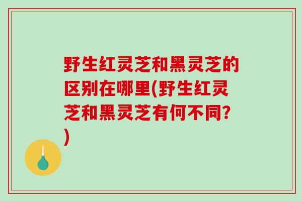 野生红灵芝和黑灵芝的区别在哪里(野生红灵芝和黑灵芝有何不同？)