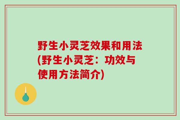 野生小灵芝效果和用法(野生小灵芝：功效与使用方法简介)