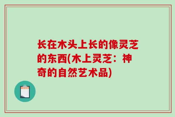 长在木头上长的像灵芝的东西(木上灵芝：神奇的自然艺术品)
