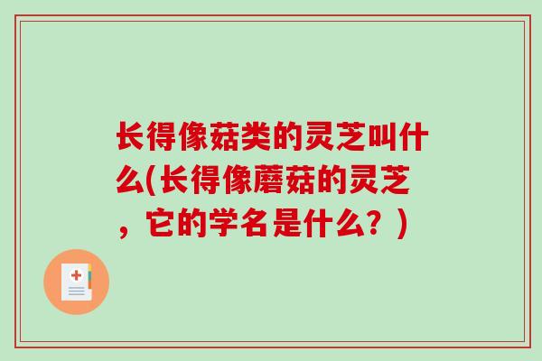 长得像菇类的灵芝叫什么(长得像蘑菇的灵芝，它的学名是什么？)