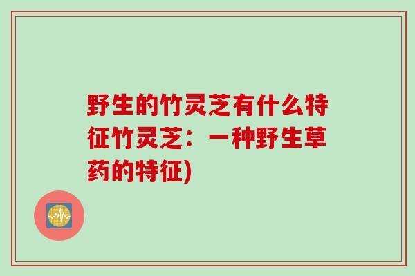 野生的竹灵芝有什么特征竹灵芝：一种野生草药的特征)