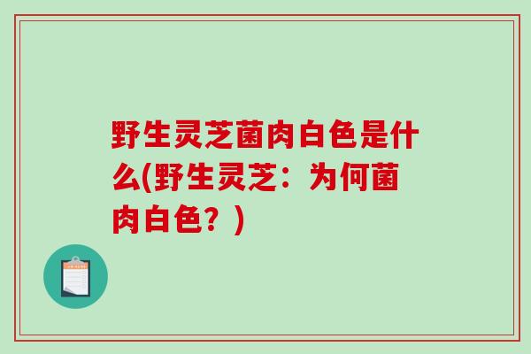 野生灵芝菌肉白色是什么(野生灵芝：为何菌肉白色？)