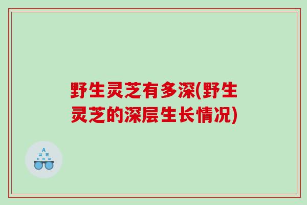 野生灵芝有多深(野生灵芝的深层生长情况)