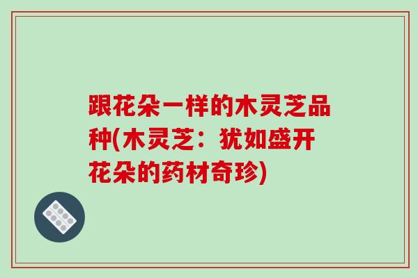 跟花朵一样的木灵芝品种(木灵芝：犹如盛开花朵的药材奇珍)