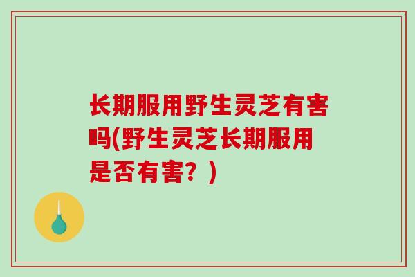 长期服用野生灵芝有害吗(野生灵芝长期服用是否有害？)