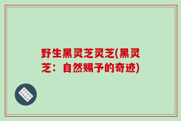 野生黑灵芝灵芝(黑灵芝：自然赐予的奇迹)
