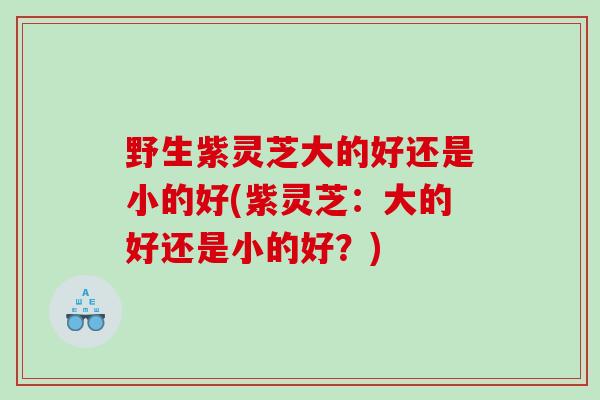 野生紫灵芝大的好还是小的好(紫灵芝：大的好还是小的好？)