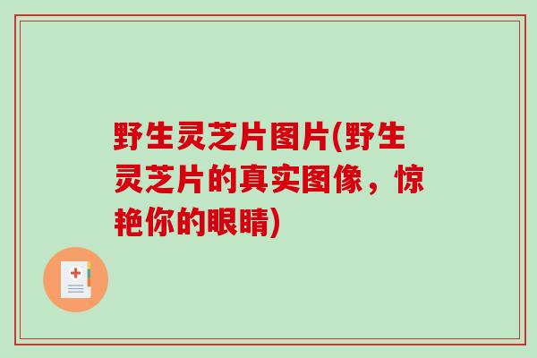 野生灵芝片图片(野生灵芝片的真实图像，惊艳你的眼睛)