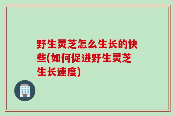 野生灵芝怎么生长的快些(如何促进野生灵芝生长速度)