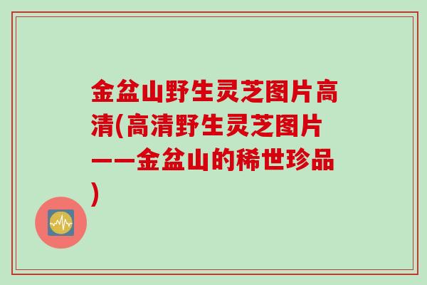 金盆山野生灵芝图片高清(高清野生灵芝图片——金盆山的稀世珍品)