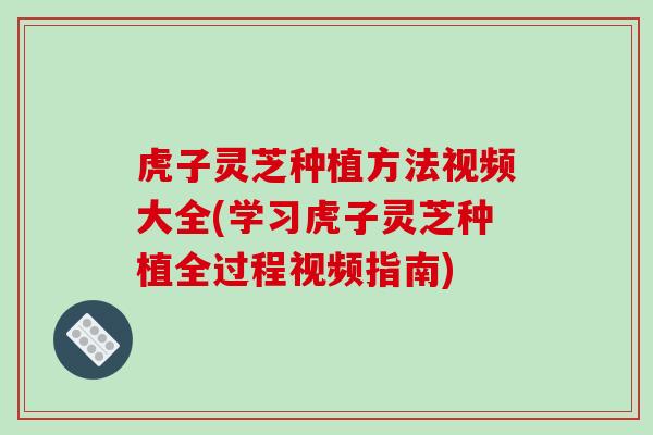 虎子灵芝种植方法视频大全(学习虎子灵芝种植全过程视频指南)