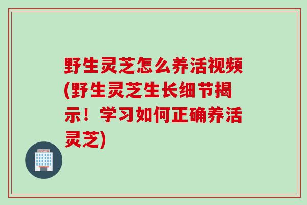 野生灵芝怎么养活视频(野生灵芝生长细节揭示！学习如何正确养活灵芝)