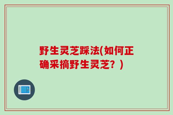 野生灵芝踩法(如何正确采摘野生灵芝？)