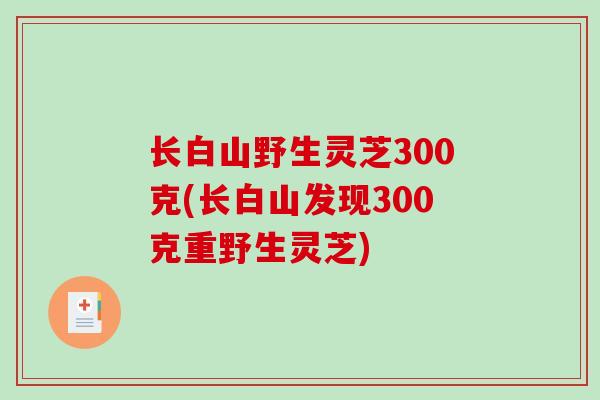 长白山野生灵芝300克(长白山发现300克重野生灵芝)