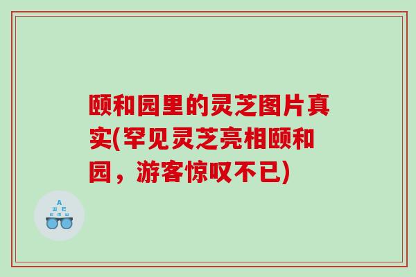 颐和园里的灵芝图片真实(罕见灵芝亮相颐和园，游客惊叹不已)