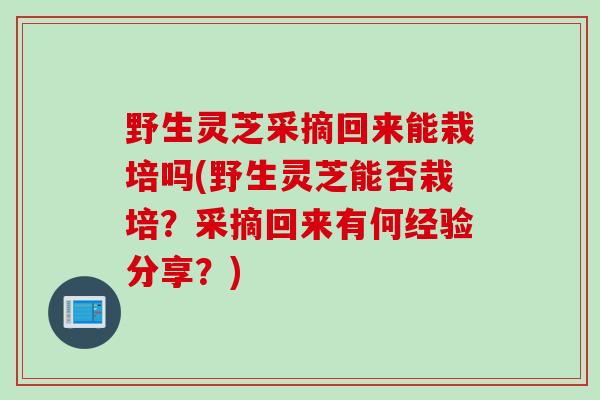 野生灵芝采摘回来能栽培吗(野生灵芝能否栽培？采摘回来有何经验分享？)