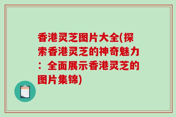 香港灵芝图片大全(探索香港灵芝的神奇魅力:全面展示香港灵芝的图片集锦) 香港灵芝图片大全(探索香港灵芝的神奇魅力:全面展示香港灵芝的图片集锦)