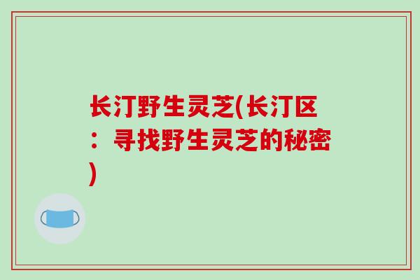 长汀野生灵芝(长汀区：寻找野生灵芝的秘密)