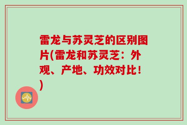 雷龙与苏灵芝的区别图片(雷龙和苏灵芝：外观、产地、功效对比！)