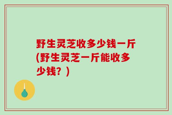 野生灵芝收多少钱一斤(野生灵芝一斤能收多少钱？)