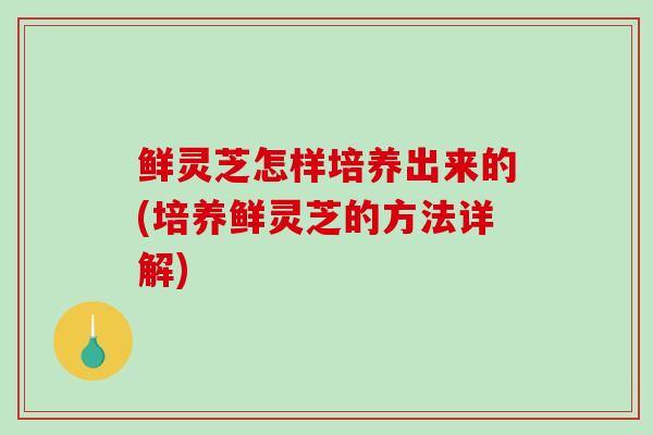 鲜灵芝怎样培养出来的(培养鲜灵芝的方法详解)