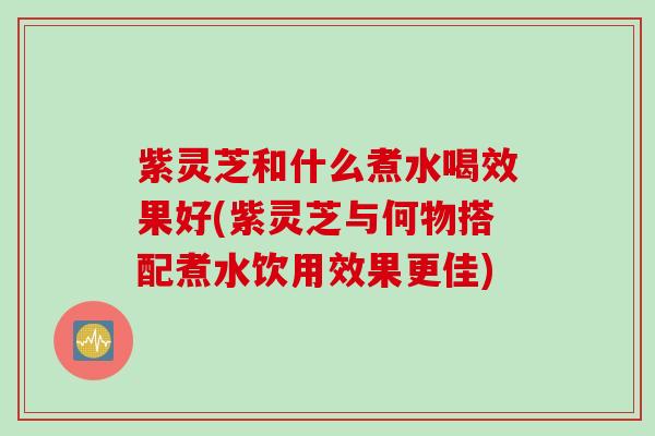 紫灵芝和什么煮水喝效果好(紫灵芝与何物搭配煮水饮用效果更佳)