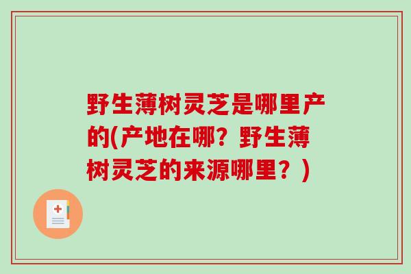 野生薄树灵芝是哪里产的(产地在哪？野生薄树灵芝的来源哪里？)