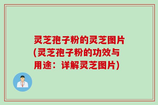 灵芝孢子粉的灵芝图片(灵芝孢子粉的功效与用途：详解灵芝图片)