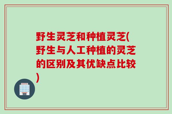 野生灵芝和种植灵芝(野生与人工种植的灵芝的区别及其优缺点比较)