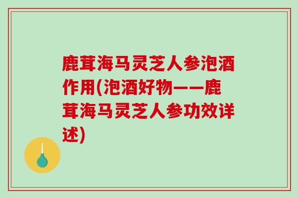 鹿茸海马灵芝人参泡酒作用(泡酒好物——鹿茸海马灵芝人参功效详述)