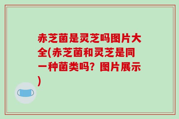 赤芝菌是灵芝吗图片大全(赤芝菌和灵芝是同一种菌类吗？图片展示)