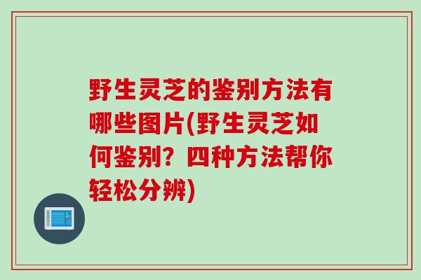 野生灵芝的鉴别方法有哪些图片(野生灵芝如何鉴别？四种方法帮你轻松分辨)