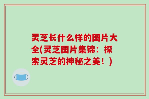 灵芝长什么样的图片大全(灵芝图片集锦：探索灵芝的神秘之美！)