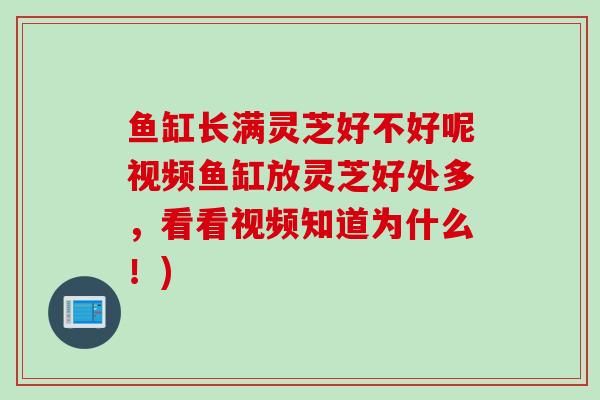鱼缸长满灵芝好不好呢视频鱼缸放灵芝好处多，看看视频知道为什么！)
