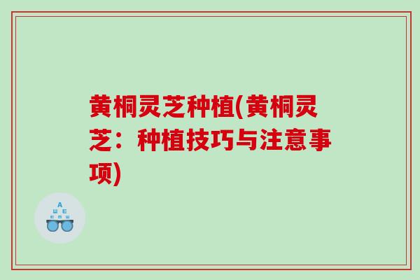 黄桐灵芝种植(黄桐灵芝：种植技巧与注意事项)