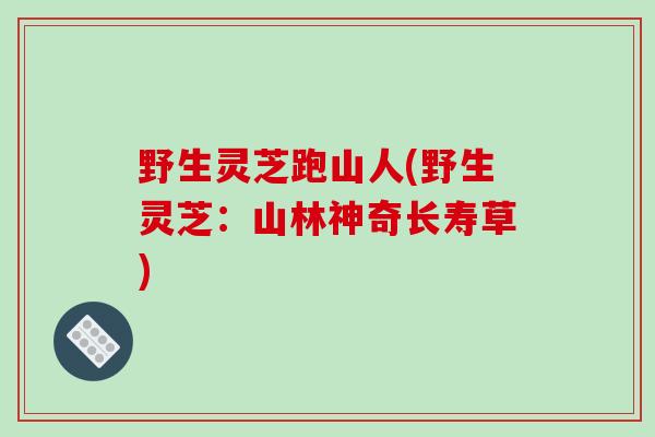 野生灵芝跑山人(野生灵芝：山林神奇长寿草)