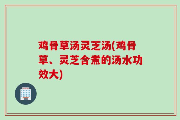 鸡骨草汤灵芝汤(鸡骨草、灵芝合煮的汤水功效大)