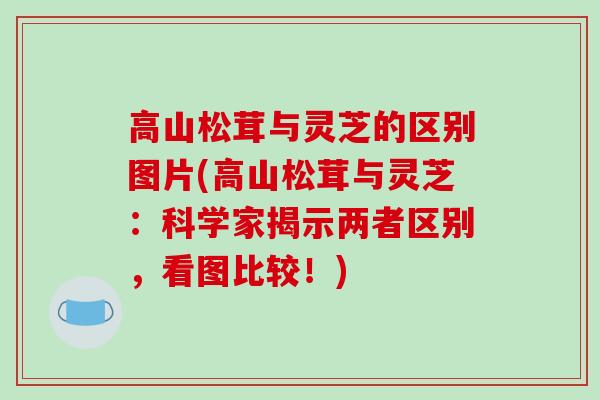 高山松茸与灵芝的区别图片(高山松茸与灵芝：科学家揭示两者区别，看图比较！)