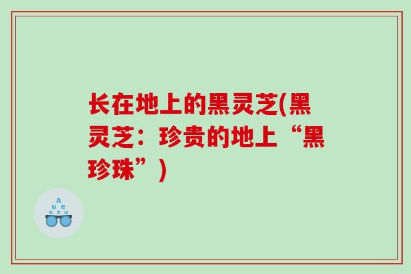 长在地上的黑灵芝(黑灵芝：珍贵的地上“黑珍珠”)