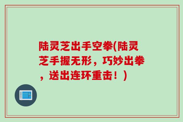 陆灵芝出手空拳(陆灵芝手握无形，巧妙出拳，送出连环重击！)