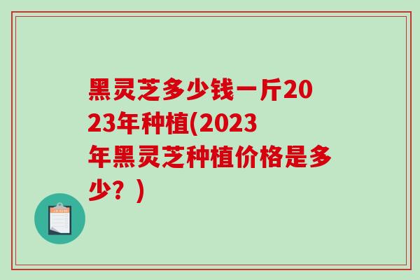 黑灵芝多少钱一斤2023年种植(2023年黑灵芝种植价格是多少？)