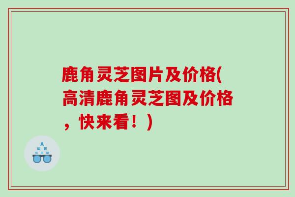 鹿角灵芝图片及价格(高清鹿角灵芝图及价格，快来看！)