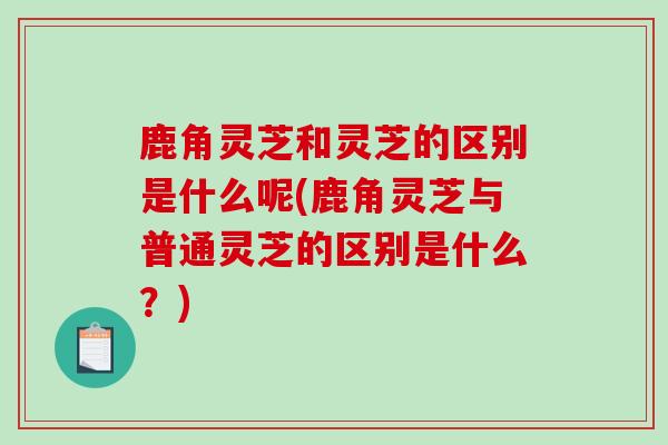 鹿角灵芝和灵芝的区别是什么呢(鹿角灵芝与普通灵芝的区别是什么？)